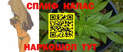 Альфа ПВП Сланцы