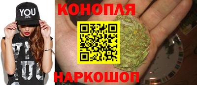 Альфа ПВП Сланцы