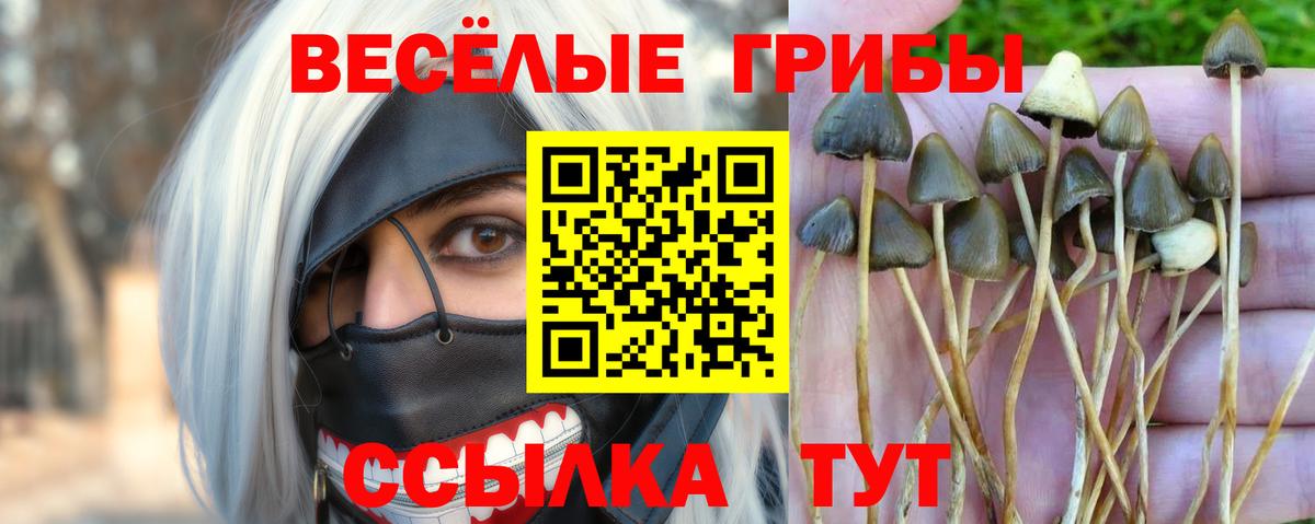 Галлюциногенные грибы прущие грибы Нарткала