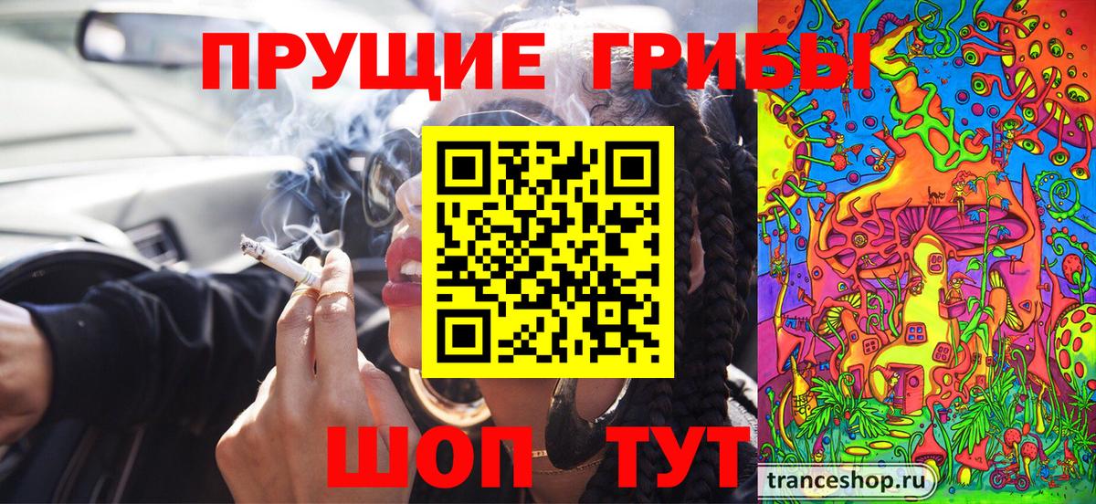 Нарткала  где продают   Вход с VPN  Псилоцибиновые грибы Psilocybine cubensis 